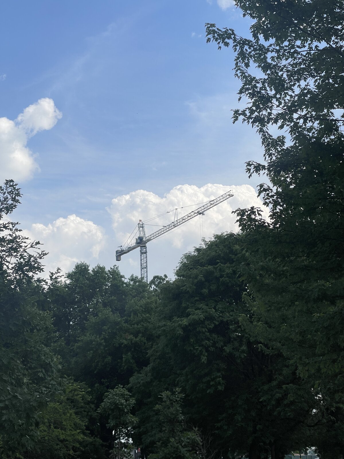 crane-clouds