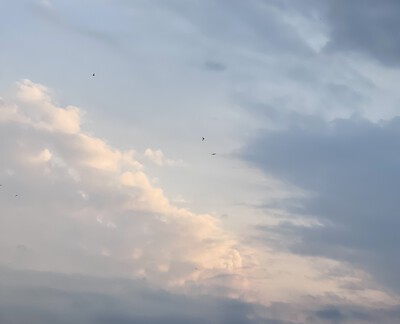 photo clearing stratus